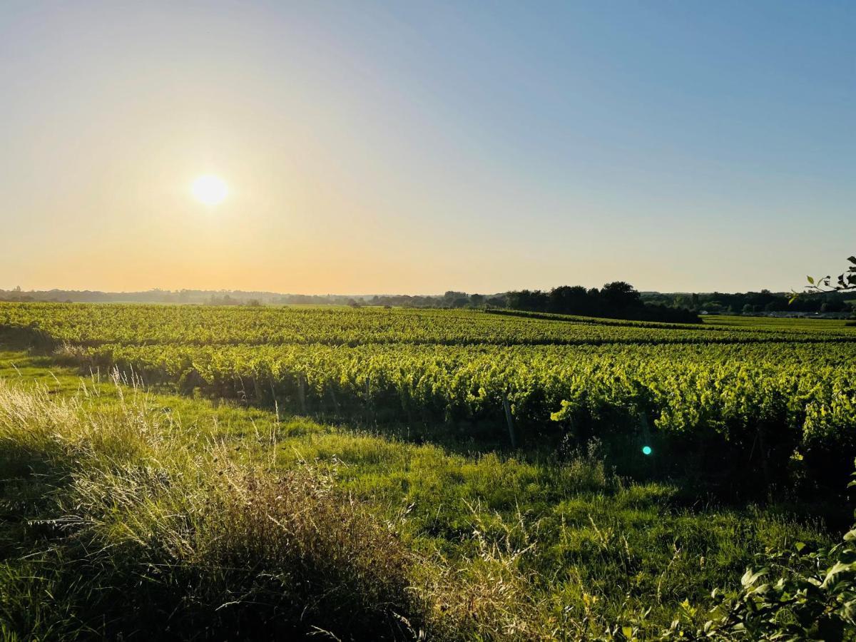 La Vigne D'or *
